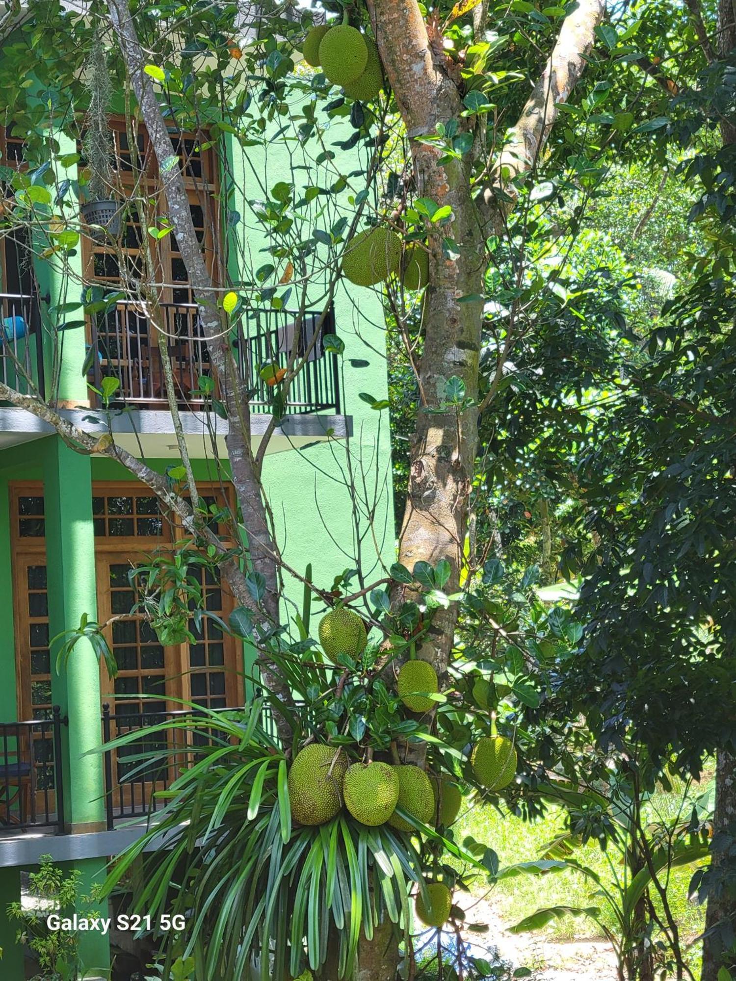 Barefoot Bungalow Hikka Hikkaduwa Kültér fotó