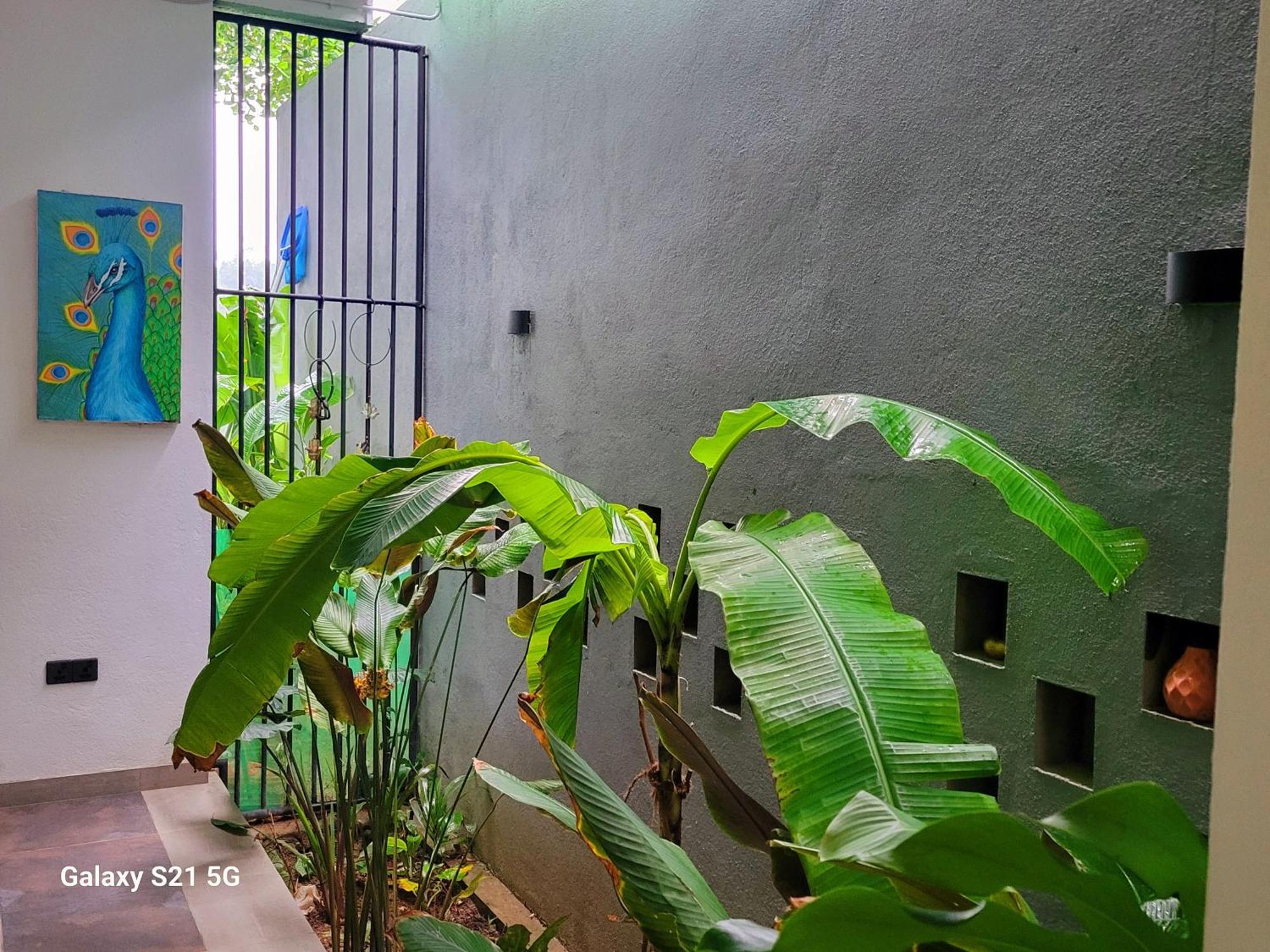 Barefoot Bungalow Hikka Hikkaduwa Kültér fotó